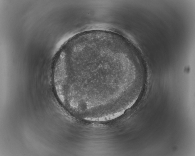 X0000112001312200909141051