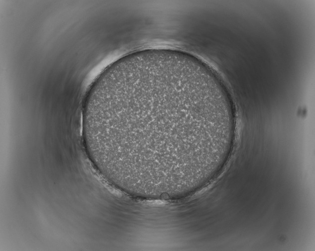 X0000112001317200909141051