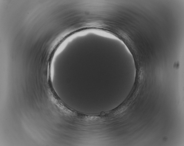 X0000112001323200909141052