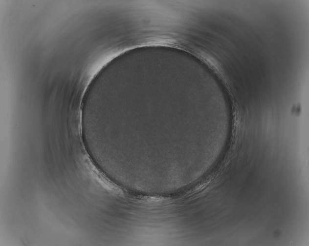 X0000112001324200909141052