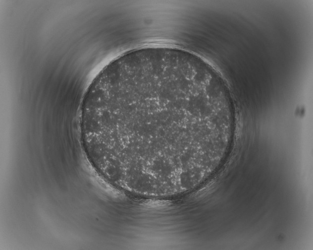 X0000112001325200909141052