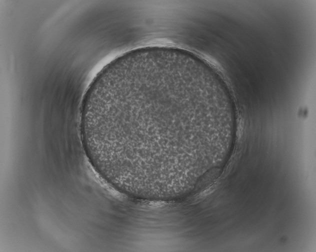 X0000112001326200909141052