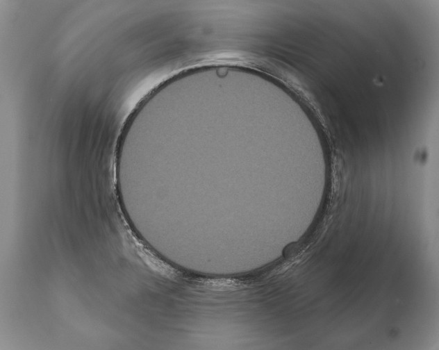 X0000112001328200909141052