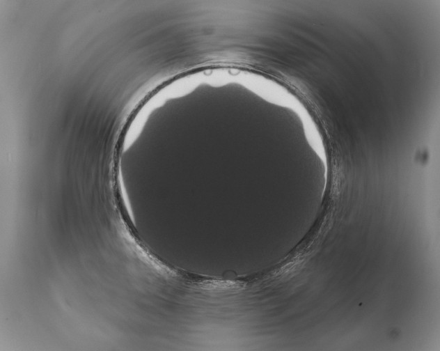 X0000112001331200909141052