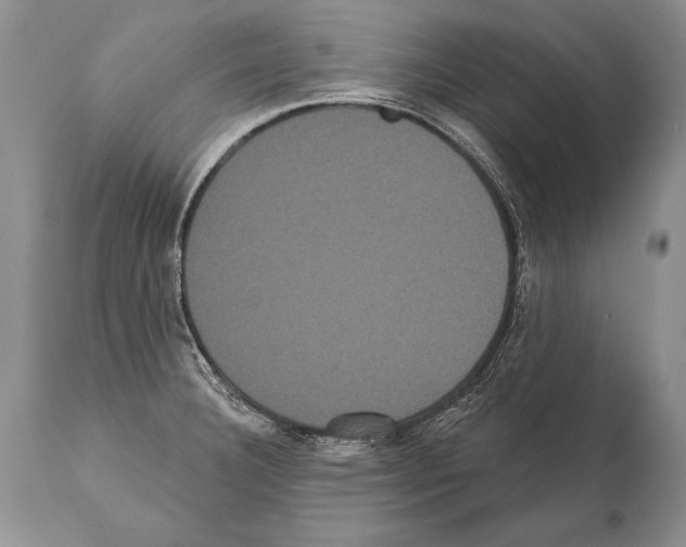 X0000112001332200909141052