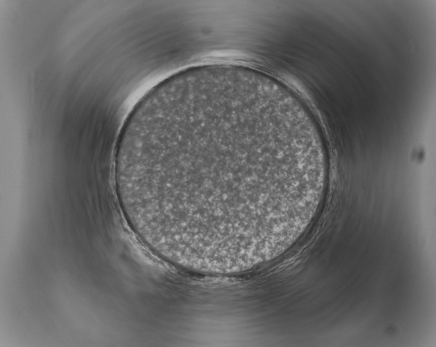 X0000112001336200909141052