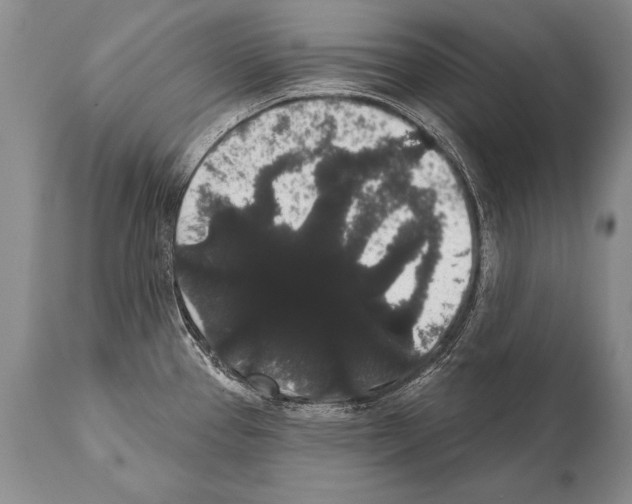 X0000112001337200909141052