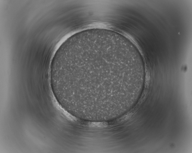 X0000112001339200909141052