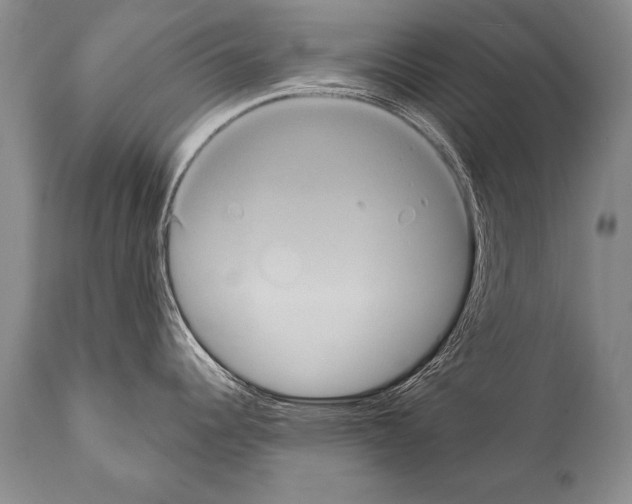 X0000112001344200909141052