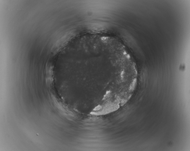 X0000112001346200909141051