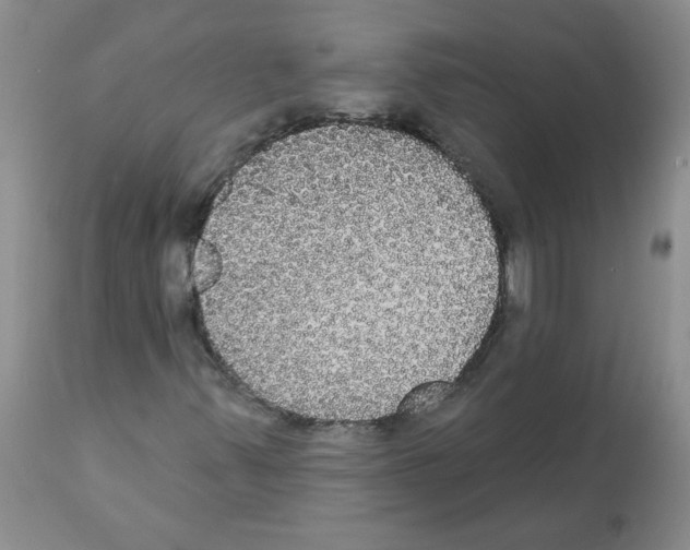 X0000112001347200909141051