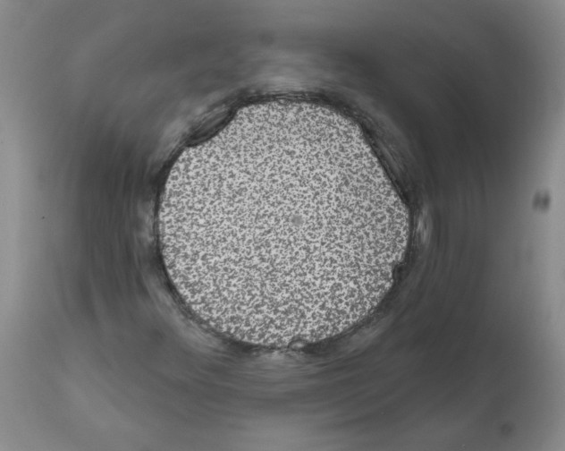 X0000112001348200909141051