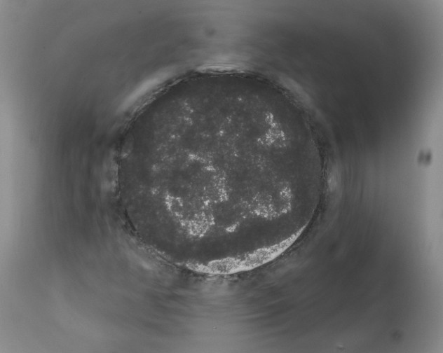 X0000112001350200909141051