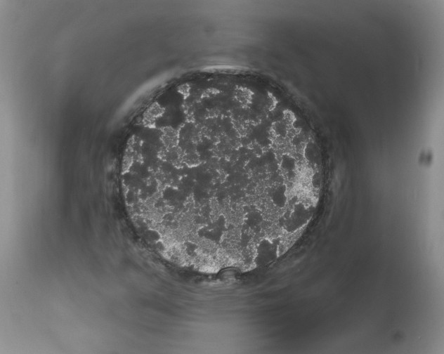 X0000112001351200909141051