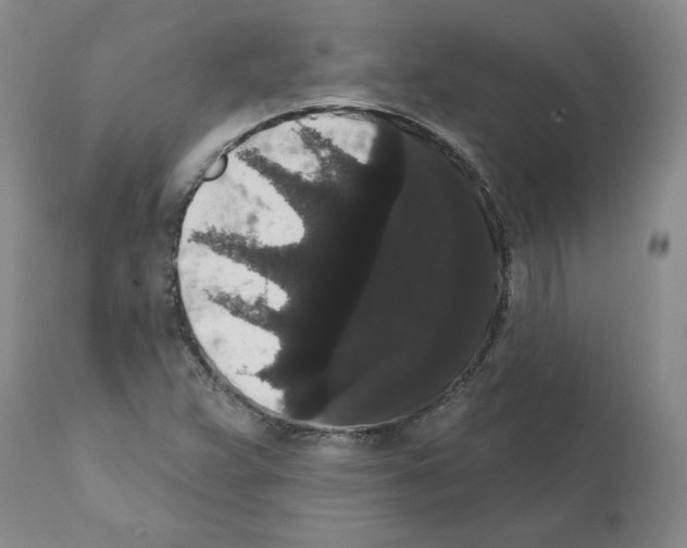 X0000112001359200909141051