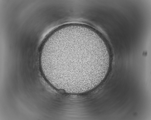 X0000112001360200909141051