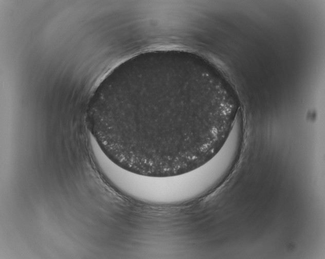 X0000112001361200909141051