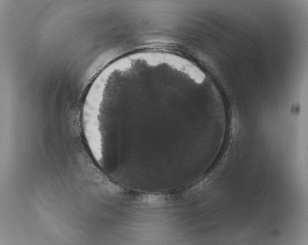 X0000112001362200909141051