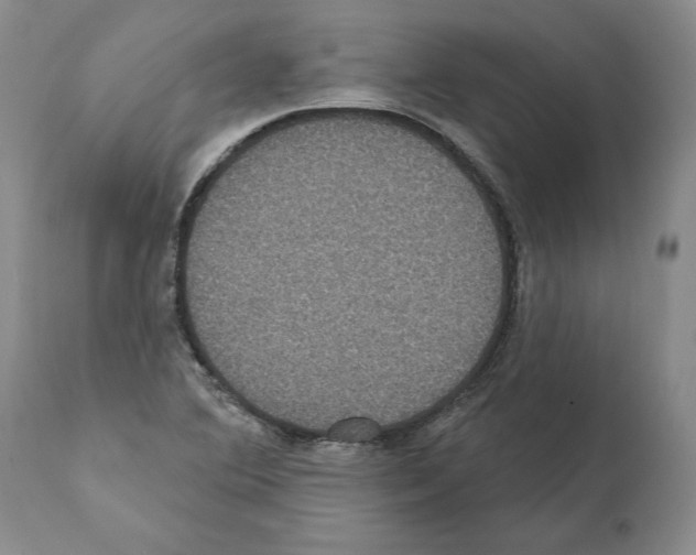 X0000112001364200909141051