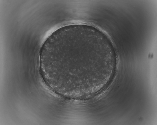 X0000112001365200909141051