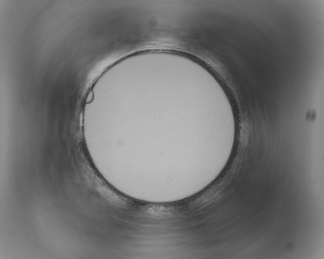 X0000112001366200909141051