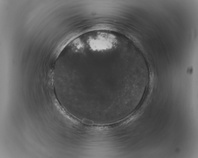 X0000112001369200909141051