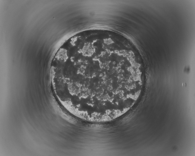 X0000112001371200909141051