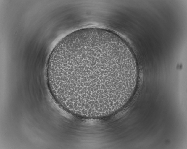 X0000112001375200909141051