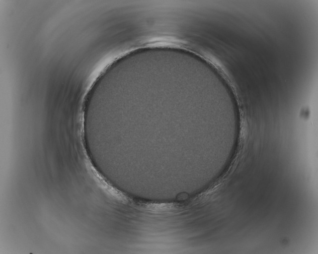 X0000112001376200909141051