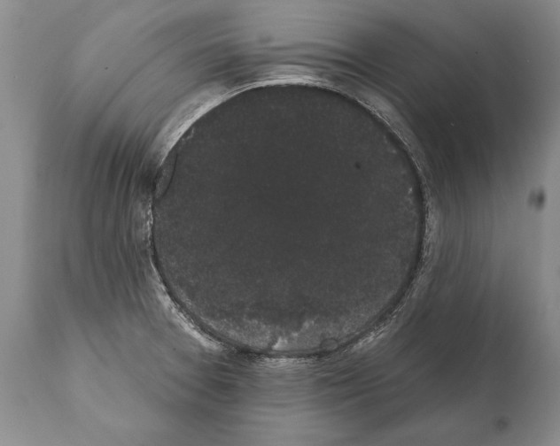 X0000112001377200909141051