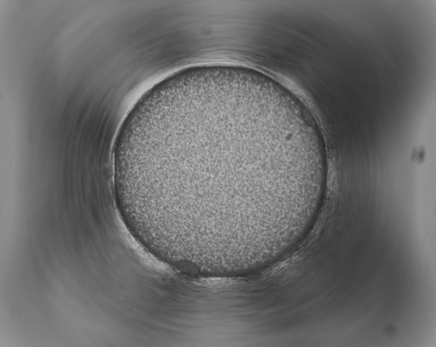 X0000112001380200909141051