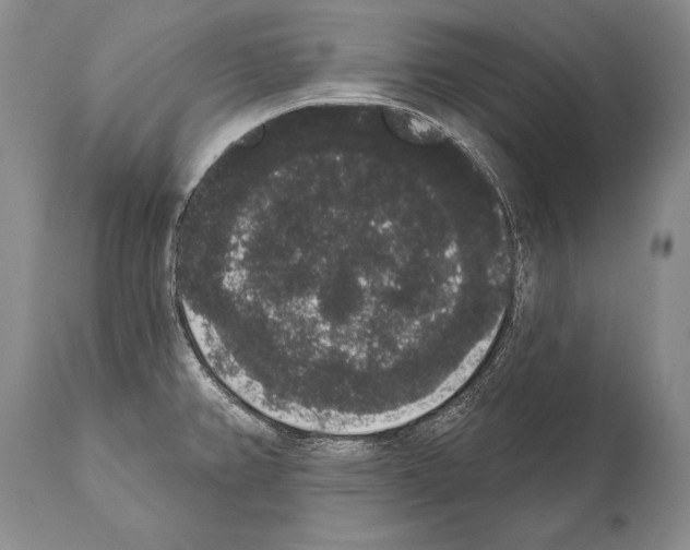 X0000112001382200909141051