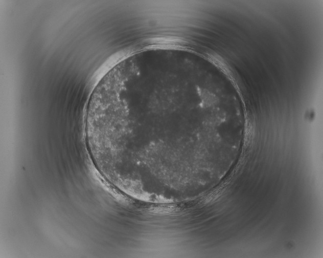 X0000112001386200909141051