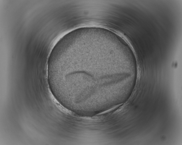 X0000112001388200909141051