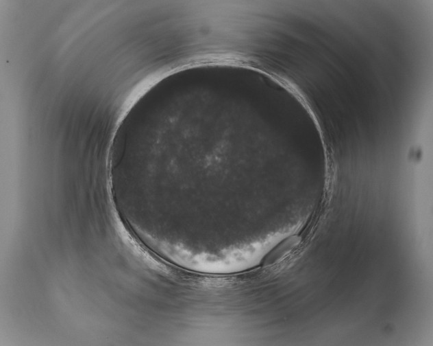 X0000112001389200909141051