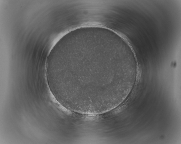 X0000112001390200909141051