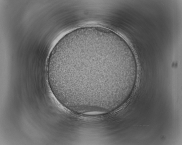 X0000112001392200909141051