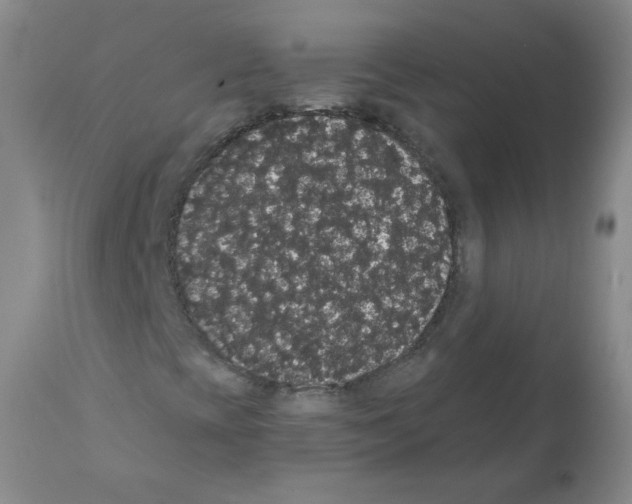 X0000112001393200909141050