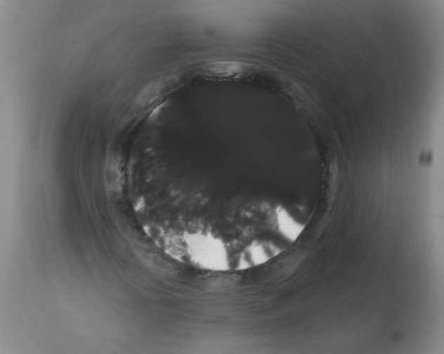 X0000112001394200909141050