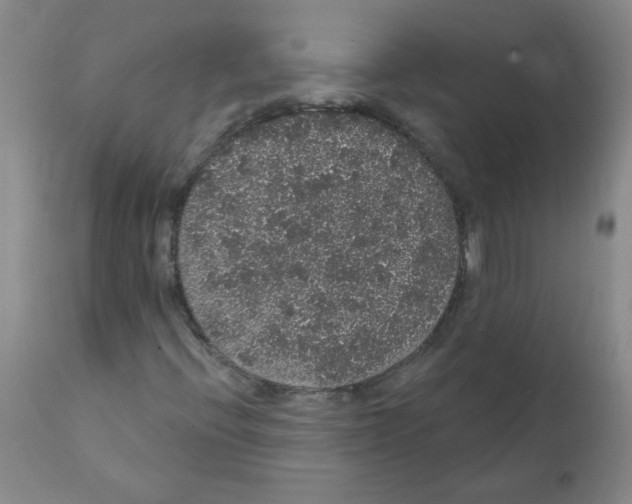 X0000112001396200909141050