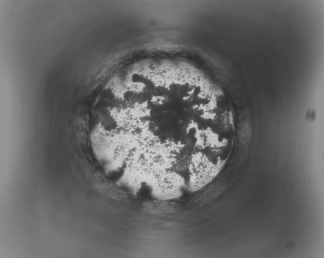 X0000112001397200909141050