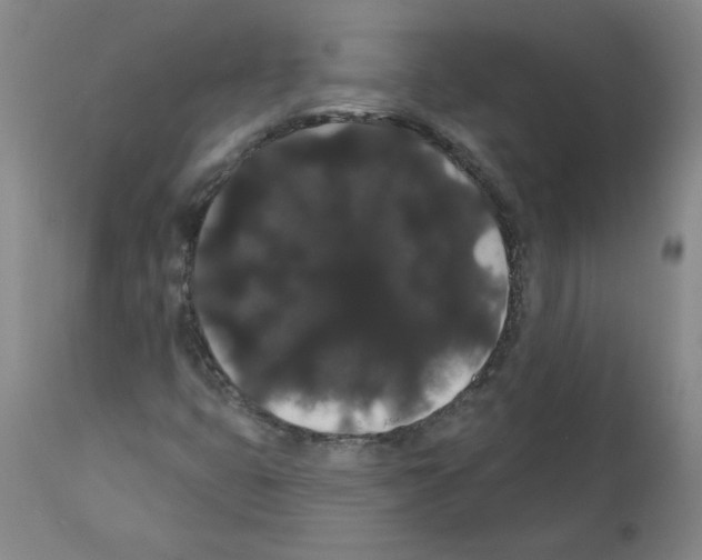 X0000112001399200909141050