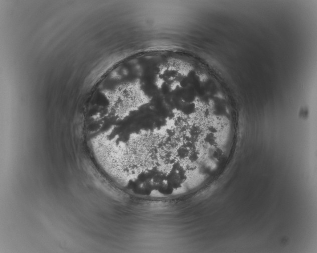 X0000112001401200909141050