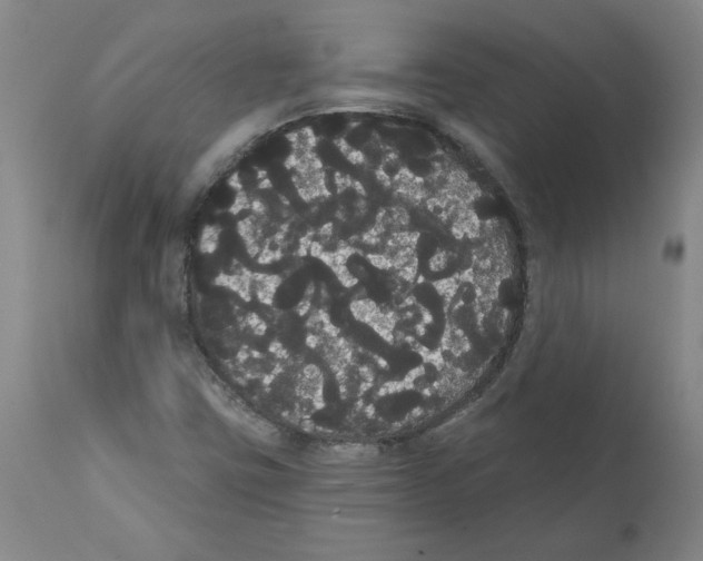 X0000112001403200909141050