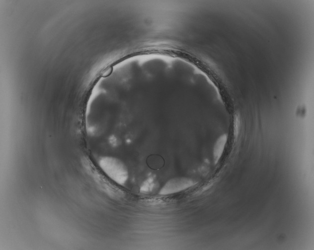 X0000112001405200909141050