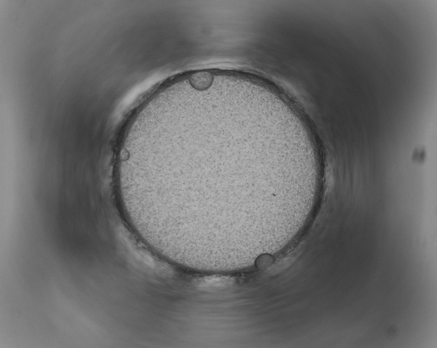 X0000112001406200909141050