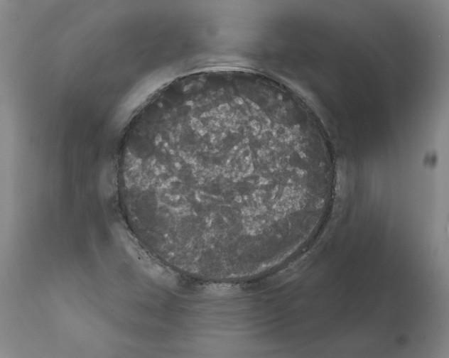 X0000112001407200909141050