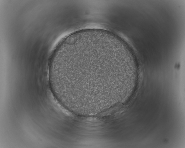 X0000112001408200909141050