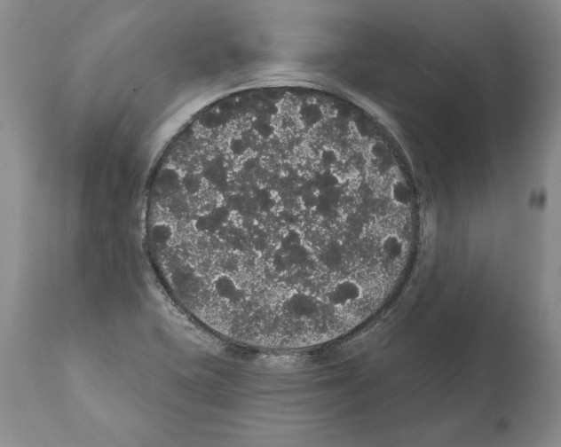 X0000112001415200909141050