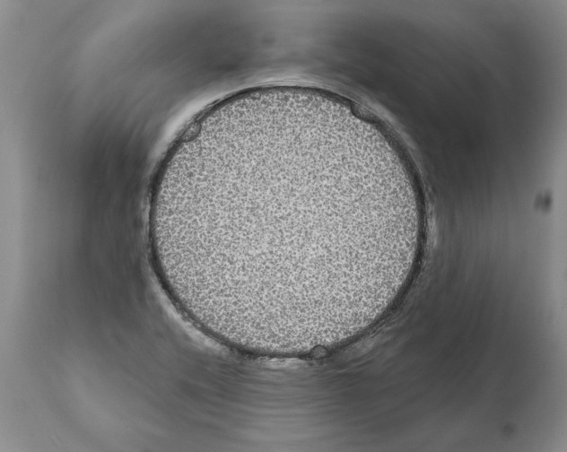 X0000112001416200909141050